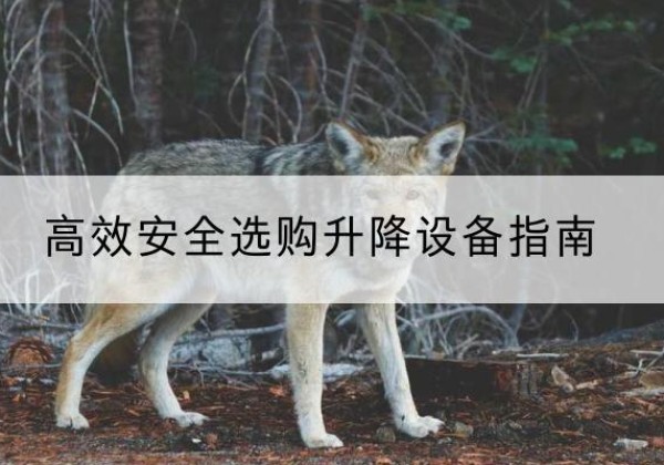 交口升降货梯厂家推荐-*安全选购升降设备指南