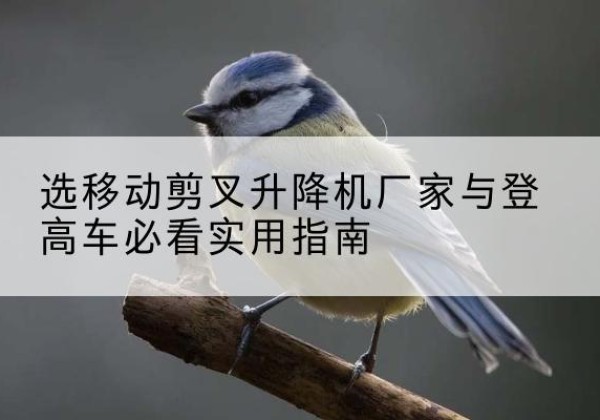 交口电动升降机厂家-选移动剪叉升降机厂家与登高车必看实用指南
