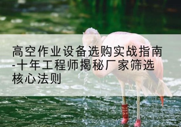 交口剪叉式升降机厂家-高空作业设备选购实战指南-十年工程师揭秘厂家筛选核心法则